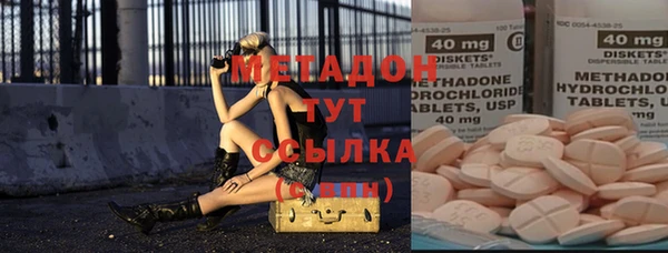 крисы Корсаков
