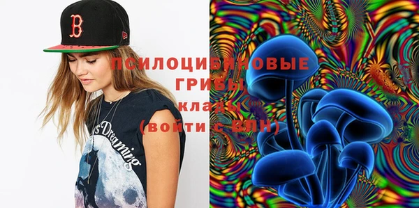 apvp Белокуриха