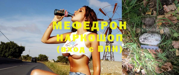 индика Сосновый Бор