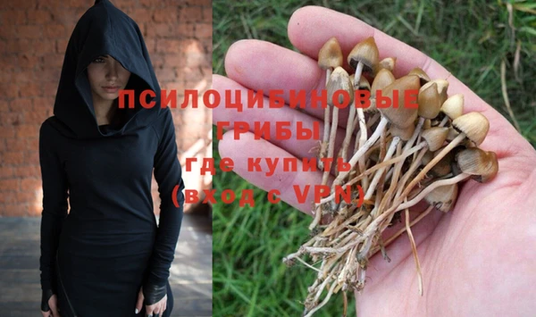 гидра Сосновоборск